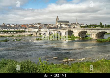 Paysage urbain avec le pont sur la Loire et la cathédrale catholique romaine Saint-Louis, Blois, France Banque D'Images