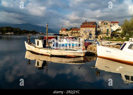 Bateaux de pêche dans le petit port du village de pêcheurs de Bjelila, péninsule de Luštica, Monténégro, Europe Banque D'Images