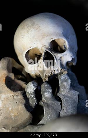 Crâne humain exposé, intérieur de Sedlec Ossuary, site du patrimoine mondial de l'UNESCO, Kutna Hora, République tchèque (Tchéquie), Europe Banque D'Images