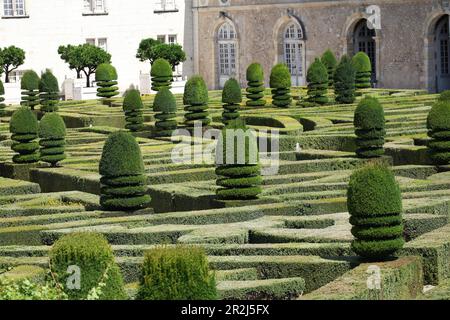 Villandry Chauteau et jardins, Vallée de la Loire, France Banque D'Images