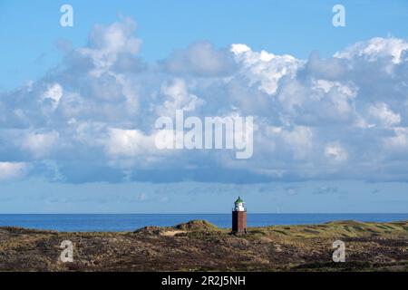 Petit phare dans les dunes de Kampen, Sylt, Côte de la Mer du Nord Schleswig-Holstein, Allemagne Banque D'Images