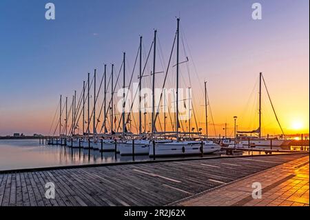 Bateaux à voile dans le port de plaisance de Heiligenhafen dans la lumière du matin, Heiligenhafen, Ostholstein, Schleswig-Holstein, Allemagne Banque D'Images