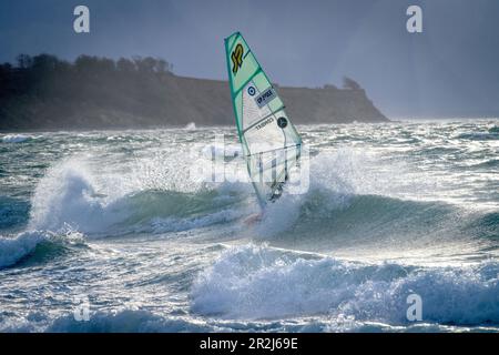 Des kiters devant la côte escarpée dans une tempête, Dazendorf, Mer Baltique, Ostholstein, Schleswig-Holstein, Allemagne Banque D'Images