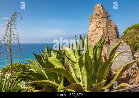 Monument à Sir William Walton dans le jardin de la Mortella à Forio, île d'Ischia, Golfe de Naples, Campanie, Italie Banque D'Images