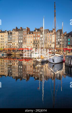 Port de Honfleur dans la lumière du matin, Calvados, Normandie, France Banque D'Images