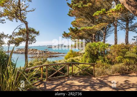 Jardin Exotique sur l'Ile de Batz, Finistère, Bretagne, France Banque D'Images