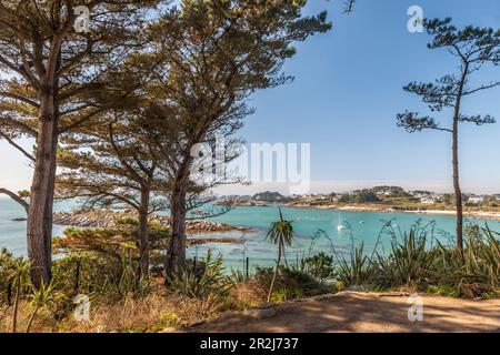 Jardin Exotique sur l'Ile de Batz, Finistère, Bretagne, France Banque D'Images