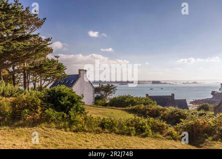 Côte sur l'Ile de Batz, Finistère, Bretagne, France Banque D'Images