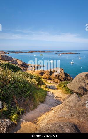 Sentier côtier sur la Côte de granit Rose près de Trégastel, Côtes-d'Armor, Bretagne, France Banque D'Images