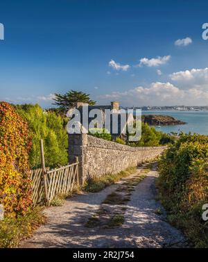 Chemin vers le port sur l'Ile de Batz, Finistère, Bretagne, France Banque D'Images