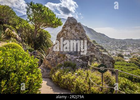 Monument à Sir William Walton dans le jardin de la Mortella à Forio, île d'Ischia, Golfe de Naples, Campanie, Italie Banque D'Images