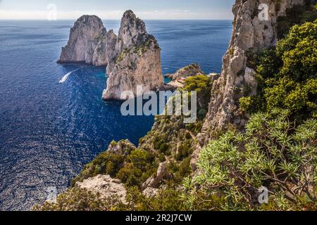 Faraglione Rocks à Capri, Capri, Golfe de Naples, Campanie, Italie Banque D'Images