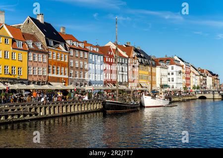 Maisons colorées, restaurants et navires historiques au canal et port de Nyhavn, Copenhague, Danemark, Europe Banque D'Images