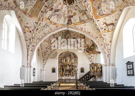 Intérieur avec fresques religieuses par le Maître Elmelunde dans l'église Elmelunde, île mon, Danemark, Europe Banque D'Images