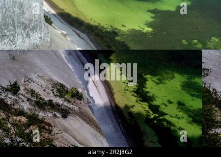 Côte escarpée et falaises de craie Møns Klint, île de Mön, Danemark, Europe Banque D'Images