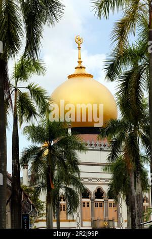 La mosquée du Sultan (Sultan Masjid), Singapour, Asie du Sud-est, Asie Banque D'Images