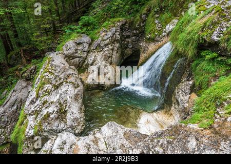 Jardin des glaciers dans l'Echerntal près de Hallstatt, Salzkammergut, haute-Autriche, Autriche Banque D'Images