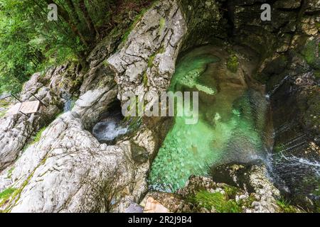 Jardin des glaciers dans l'Echerntal près de Hallstatt, Salzkammergut, haute-Autriche, Autriche Banque D'Images