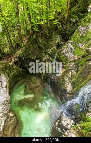 Jardin des glaciers dans l'Echerntal près de Hallstatt, Salzkammergut, haute-Autriche, Autriche Banque D'Images