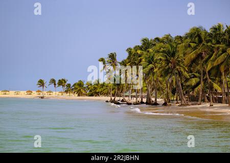 ADA Foah Beach et village de pêcheurs d'Ada Foah et palmiers sur les rives de la Volta dans la région du Grand Accra, dans l'est du Ghana, dans l'ouest de l'Afr Banque D'Images