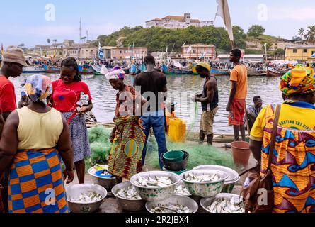 Marché aux poissons et port de pêche à Elmina en direction de la forteresse São Jago da Mina dans la région centrale du Ghana occidental en Afrique de l'Ouest Banque D'Images