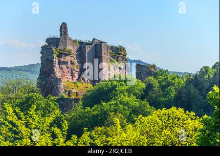 Château de Fleckenstein, Lembach, Vosges du Nord, Bas-Rhin, Alsace, Vosges, Grand est, Alsace-Champagne-Ardenne-Lorraine, France Banque D'Images