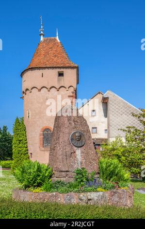 Tour d'enceinte à Obernai, Oberehnheim Bas-Rhin, route des vins d'Alsace, Elsässer Weinstraße, Grand est, Frankreich Banque D'Images