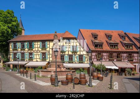 Allée à Ribeauville, Rappoltsweiler, Haut-Rhin, route des vins d'Alsace, route des vins d'Alsace, Grand est, Alsace-Champagne-Ardenne-Lorraine, France Banque D'Images