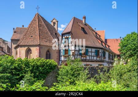 Maisons à colombages à Kaysersberg, Haut-Rhin, route des vins d'Alsace, route des vins d'Alsace, Grand est, Alsace-Champagne-Ardenne-Lorraine, France Banque D'Images