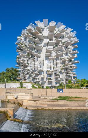 Arbre blanc à Montpellier, gratte-ciel par Sou Fujimoto, OXO, Nicolas Laisné et Dimitri Roussel, Montpellier, Hérault, Languedoc-Roussillon, Occitanie, Banque D'Images