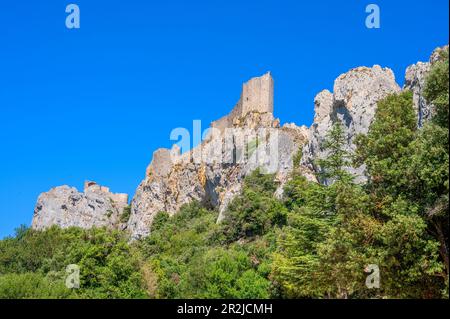 Château cathare de Peyrepertuse, Duilhac-sous-Peyrepertuse, Narbonne, Aude, Languedoc-Roussillon, Occitanie, Languedoc-Roussillon-midi-Pyrénées, France Banque D'Images