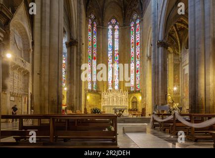 Arezzo; Duomo San Donato; espace intérieur Banque D'Images