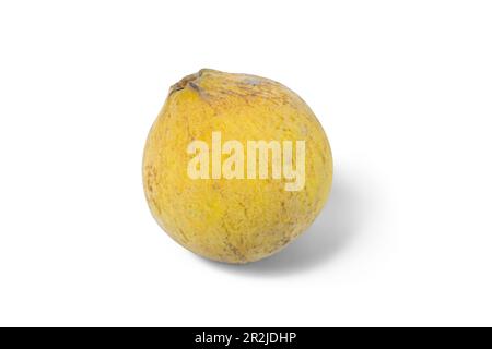 Fruit Sentol jaune frais isolé sur fond blanc, Banque D'Images