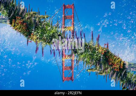 Double exposition de l'emblématique Golden Gate Bridge, vue depuis le Golden Gate Vista point South à San Francisco, Californie. Banque D'Images