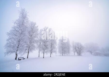 Matin d'hiver froid glacial avec brouillard épais à Schlehdorf am Kochelsee, Bavière, Allemagne. Banque D'Images
