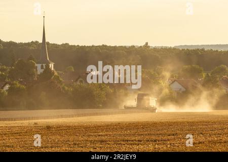 Récolte de céréales près de Fröhstockheim, Rödelsee, Kitzingen, Basse-Franconie, Franconie, Bavière, Allemagne, Europe Banque D'Images