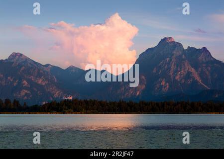 Vue sur l''Hopfensee jusqu'au château de Neuschwanstein, avec Tegelberg et Säuling, Allgäu, Bavière, Allemagne Banque D'Images