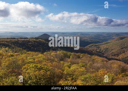 Forêt d'automne, Forêt du Palatinat, Palatinat, Rhénanie-Palatinat, Allemagne Banque D'Images