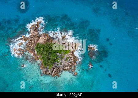 Vue aérienne des plongeurs dans les eaux turquoise, île St Pierre, près de l'île Praslin, Seychelles, Océan Indien Banque D'Images