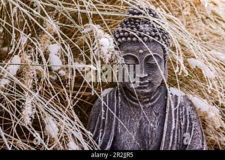 Gros plan d'une statue de Bouddha avec glace et neige dans le jardin en hiver, Allemagne Banque D'Images
