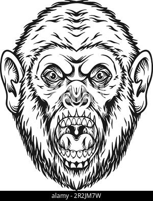 Tête de gorille effrayante face Angry King jungle logo illustrations noir et blanc illustrations vectorielles pour votre logo de travail, t-shirt de marchandise, autocollants Illustration de Vecteur