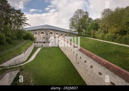 Wilhelmsburg, Forteresse fédérale d'Ulm, Michelsberg, Bade-Wurtemberg, Allemagne, photographie aérienne Banque D'Images