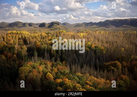 Vue depuis le bassin de la Suisse saxonne d'automne, montagnes de grès d'Elbe, Saxe, Elbe, Allemagne, Europe Banque D'Images