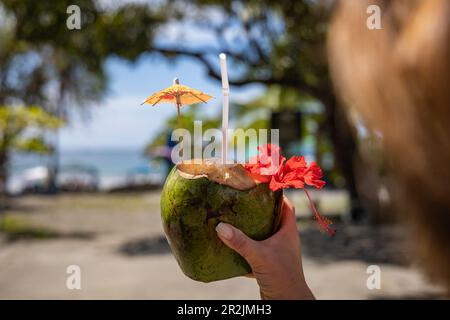 Femme tenant la noix de coco buvant garni de fleur d'hibiscus rouge et parapluie en papier sur la plage d'Espadilla, près de Quepos, Puntarenas, Costa Rica, Central Banque D'Images