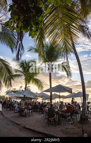 Les gens s'assoient sous les cococotiers au bar Coco Loco sur Flamingo Beach pour prendre un verre et manger pendant l'happy hour au coucher du soleil, Playa Flamingo, Guanacaste, C. Banque D'Images