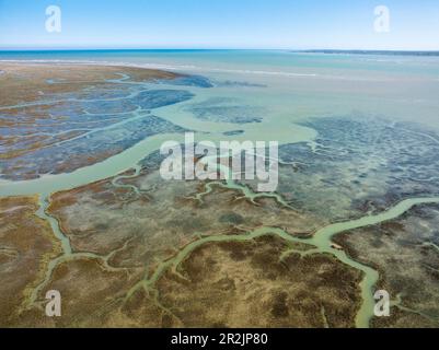 Marais salants dans la Baie de Vey en Normandie Banque D'Images