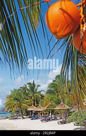 Des palmiers et des gens sur la plage de l'hôtel Beachcomber Paradis &amp;amp;amp ; Golf Club, Maurice, Afrique du Sud Banque D'Images