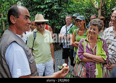 Visite guidée dans le jardin d'épices et parfum de Saint Philippe, La Réunion, océan Indien Banque D'Images