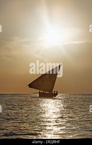 Navigation le long Stonetowns ville Dhow beach, Ville de Zanzibar, Zanzibar, Tanzania, Africa Banque D'Images