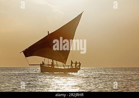 Navigation le long Stonetowns ville Dhow beach, Ville de Zanzibar, Zanzibar, Tanzania, Africa Banque D'Images